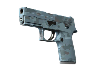 P250 | Forest Night