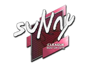 Sticker | suNny | Boston 2018 image