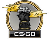 The Glove Collection image