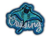 Patch | Cruising Ray image