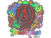 Sticker | nin9 (Holo) | Budapest 2025 image