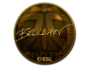 Sticker | Brollan (Gold) | Katowice 2019 image