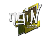 Sticker | ngiN | Boston 2018 image
