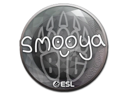 Sticker | smooya | Katowice 2019 image