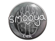 Sticker | smooya | Katowice 2019 image