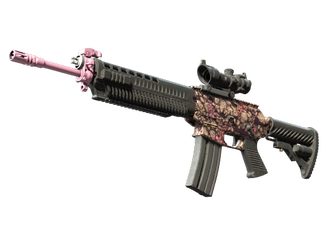 SG 553 | Desert Blossom image