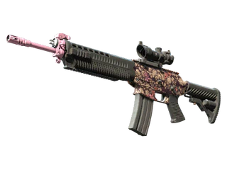 SG 553 | Desert Blossom