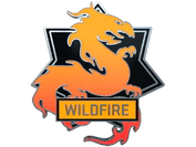 Wildfire Pin image