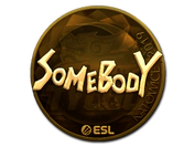 Sticker | somebody (Gold) | Katowice 2019 image