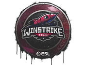 Sealed Graffiti | Winstrike Team | Katowice 2019 image