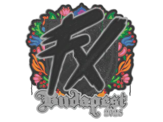 Sealed Graffiti | Fluxo | Budapest 2025