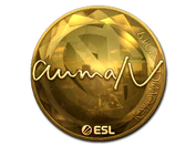 Sticker | aumaN (Gold) | Katowice 2019 image