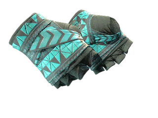★ Hand Wraps | Overprint