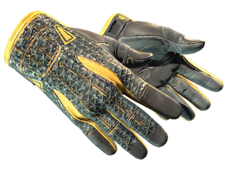 ★ Sport Gloves | Omega image