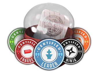 Team Roles Capsule image