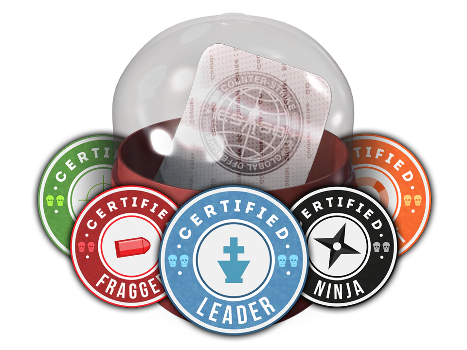 Team Roles Capsule