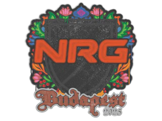 Sealed Graffiti | NRG | Budapest 2025