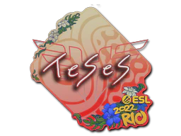 Sticker | TeSeS | Rio 2022 image