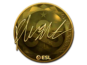 Sticker | flusha (Gold) | Katowice 2019 image