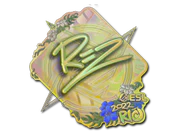 Sticker | REZ (Holo) | Rio 2022 image