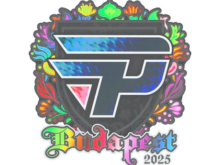 Sticker | paiN Gaming (Holo) | Budapest 2025