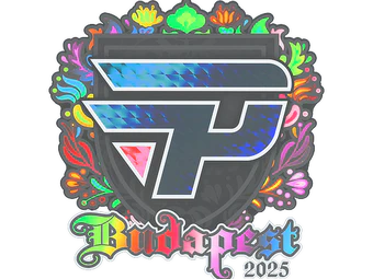 Sticker | paiN Gaming (Holo) | Budapest 2025 image
