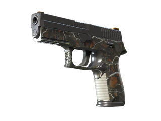 P250 | Small Game