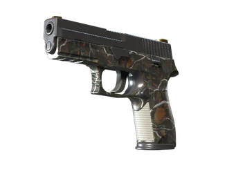 P250 | Small Game image