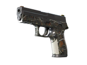 P250 | Small Game image