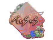Sticker | TeSeS (Holo) | Rio 2022 image