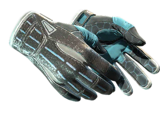 ★ Sport Gloves | Superconductor