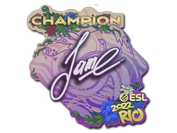 Sticker | Jame (Champion) | Rio 2022 image