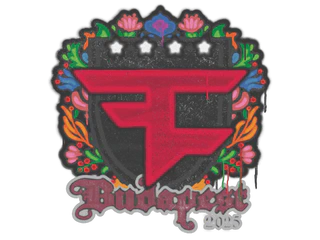 Sealed Graffiti | FaZe Clan | Budapest 2025