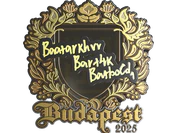 Sticker | Bart4k (Gold) | Budapest 2025 image