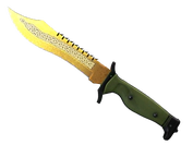 ★ Bowie Knife | Lore image