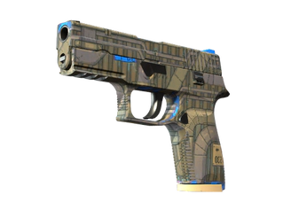 P250 | Exchanger image