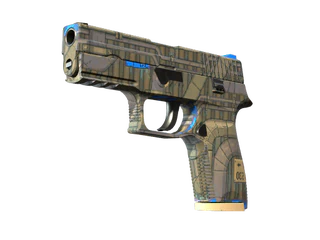P250 | Exchanger
