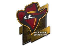 Sticker | Renegades | Boston 2018 image