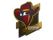 Sticker | Renegades | Boston 2018 image