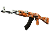 AK-47 | Safety Net image