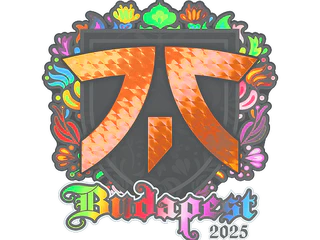 Sticker | fnatic (Holo) | Budapest 2025