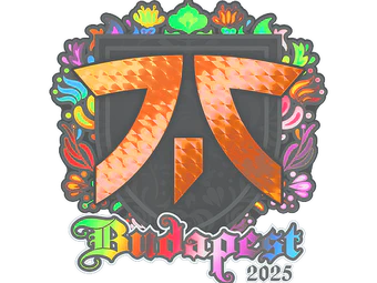 Sticker | fnatic (Holo) | Budapest 2025 image