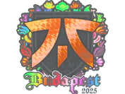 Sticker | fnatic (Holo) | Budapest 2025 image
