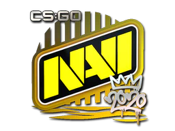 Sticker | Natus Vincere | 2020 RMR image