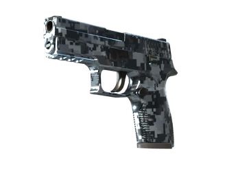 P250 | Steel Disruption image