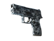 P250 | Steel Disruption image