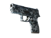 P250 | Steel Disruption image