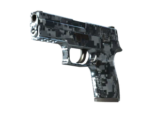 P250 | Steel Disruption