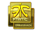 Sticker | Fnatic (Gold) | DreamHack 2014 image
