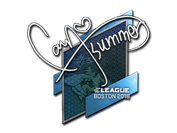 Sticker | Summer | Boston 2018 image